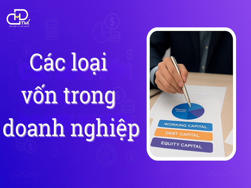 Phân tích chuyên sâu các loại vốn trong doanh nghiệp hiện nay